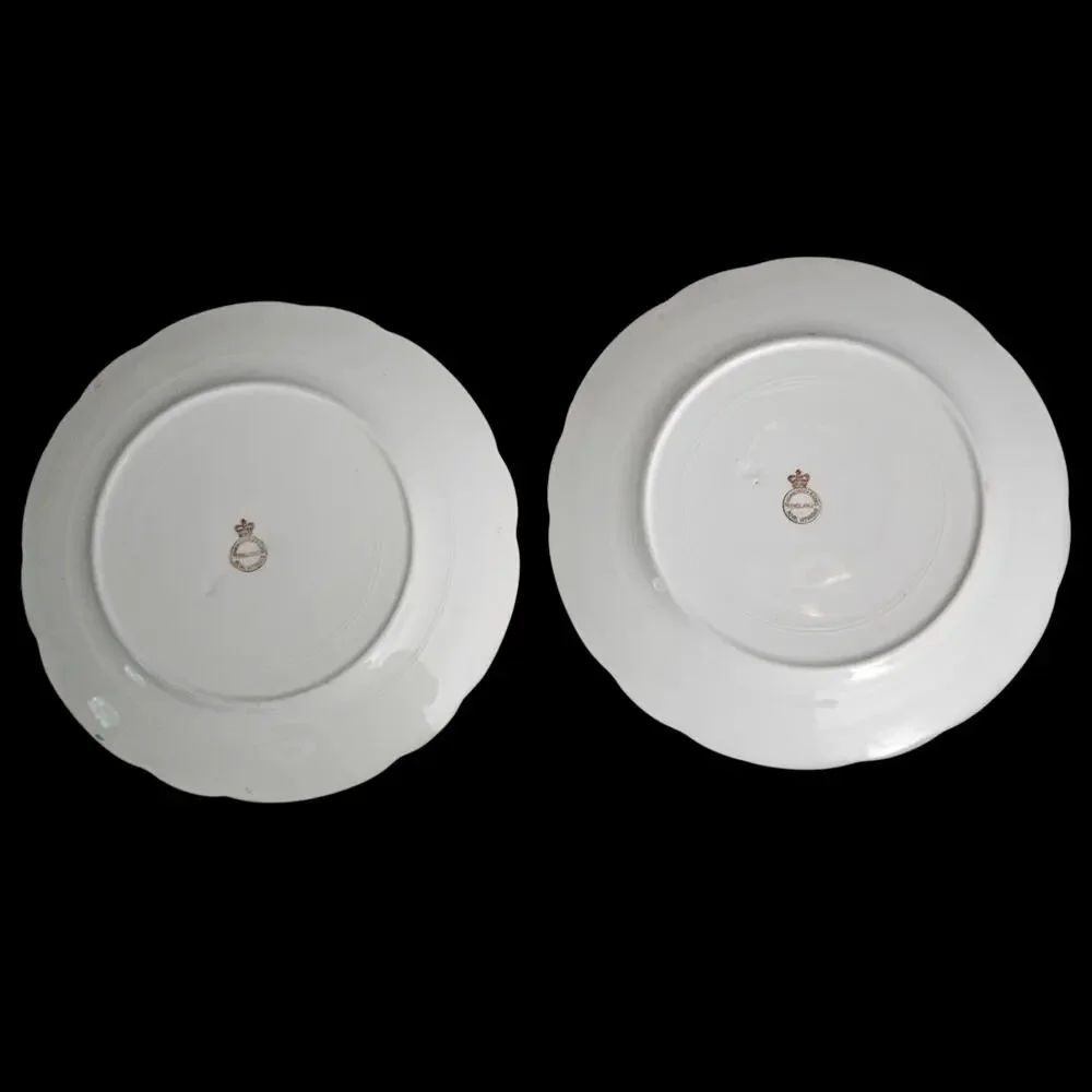 John Maddock & Sons Royal Vitreous England Floral Dinner Plates Set of 2